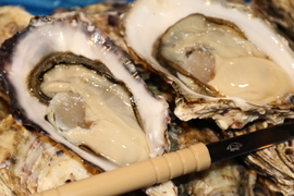 贅の極み食べ比べセット！ 【OMAKI】＆【三陸ジオイスター】計20個入り