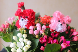 【母の日ギフト】【メッセージカード付】【数量限定カーネーション犬ボールペン1本】ブバルディアの花束/40㎝10本/ラッピング込/お花の活力剤、花言葉リーフレット/3980円/枯れ、痛み補償分追加花束♪