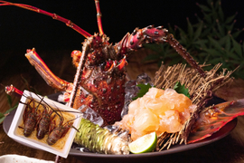 【活かして発送】甘み濃厚な天然伊勢エビ（宮崎産｜1kg〜）