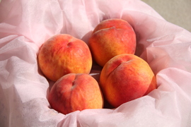 【300円引き】クセになる食感！早生ワッサー約2.4kg（10～12玉）／出店記念の特別価格！