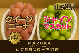 山梨県のクイーンニーナで産地直送の商品｜食べチョク｜産地直送