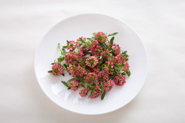 ルッコラに似た味！花も葉も茎も食べれるアリッサム・ピーチ