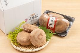 小分け・幻の肉厚椎茸「天恵菇(てんけいこ)」300g×2パック