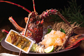 【特大1尾】宮崎産天然伊勢エビ｜900〜1000g（刺身に最適）