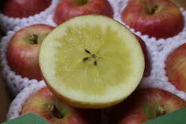 百花千果青森県産  こうとく (高徳)  りんご  家庭用 5kg  産地直送 リンゴ