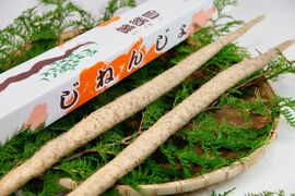 【贈答用】絶品とろろ！自然薯「夢とろろ」 1本もの1Kgセット（2-3本入）