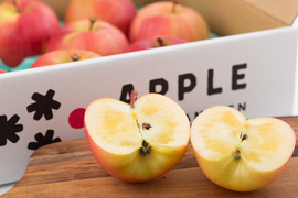 【特別栽培認証取得】蜜入り🍎こうとく2kg  農薬50%減＋化学肥料不使用 葉とらず栽培　希少品種　キズなし良品　ギフト可
