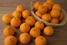 濃い味 不知火（しらぬい）　５ｋｇ　Ｍ玉中心