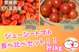 【まずはこれから！】アイコ（500g）とフルティカ（500g）のジューシートマト🍅食べ比べセット（計1キロ）