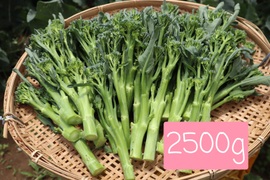 【数量限定】簡単調理(^^♪　 茎ブロッコリー（２.５キロ） 　 from 名水の里　神奈川県秦野市