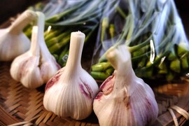 一度食べてほしい綾町産有機ニンニクのセット(おまけ付き)
