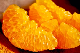 ぷちぷち食感が人気！春柑橘　和歌山産「はるみ」　食べやすくてジューシー！　約3kg