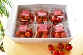 薄皮！ふにゃっと新食感！　薔薇とまと(6袋入り）