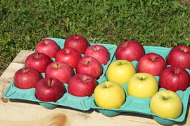 【数量限定】食べ比べ3種詰め合わせ！スマートフレッシュ青森りんご5kg （12～22個）