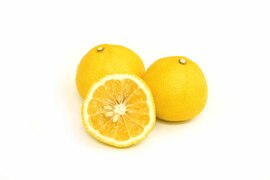 【予約】はるか〈秀品・ギフトBOX〉約7.5kg　※発送は3月上旬頃～