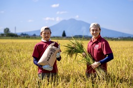 青森県産米　まっしぐら　10㎏（白米）