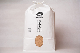 【令和7年米】もち米　もちひかり(5kg)