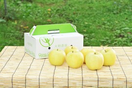 りんご　とき　黄色いりんごの代表！8～5個程度（2kg程度）