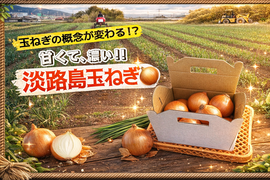 【淡路島三世代の味】コクと深みが違う！完熟ターザン常備5kg（サイズ混合）