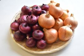 和らぎ農法　玉ねぎ食べ比べ便（約5kg）