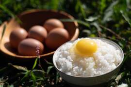 【新規注文の人限定！お試しセット🥚】【お塩で食べられる🐣🍚卵かけご飯】やまもりたまご【20個入】白身の甘みを味ってみませんか？
