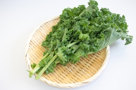 【京都産ケール】　オーダーからの収穫！　1kg
