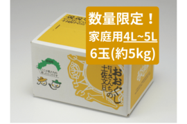 【土佐文旦家庭用大玉6玉4-5L】数量限定！日本で一番みかんと暮らしてる私たちにお任せください！