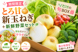 【期間限定】とろ甘新玉ねぎ🧅＋新鮮野菜セット🥗切るだけサラダOK🥬🥦｜今だけの旬BOX🎁