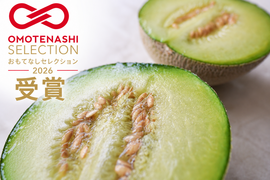 【有明海育ちの秋メロン】くまもと産アンデスメロン2玉(1.2kg×2)