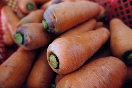 香りが濃い～🥕皮ごと食べたい
訳アリ有機人参 宮崎県綾町産(ご家庭用 箱込5kg)