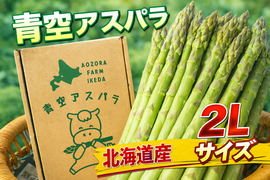 【数量限定】2026年北海道産！ここでしか出会えない青空ファーム池田の青空アスパラ(2Lサイズ/1kg)