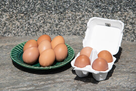 自然養鶏　平飼い卵　6個　（クール便）