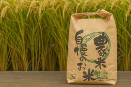 【令和7年新米】コシヒカリ 特別栽培米（5kg 精米）