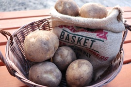 【予約商品】ホクホク甘い！たてお農園の定番ジャガイモ『キタアカリ』2Lサイズ　10kg【10月頃発送】