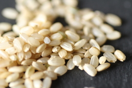 【数量限定】令和７年産はいごころ玄米４ｋｇ　プチプチした食感が楽しい個性派玄米