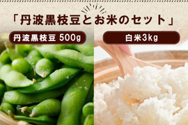 【秋の味覚】丹波黒枝豆500gと新米3kgのセット🫛🌾🍂 土づくりにこだわる農薬節約栽培🌱 丹波黒大豆枝豆 丹波黒豆 丹波黒 枝豆 edamame コシヒカリ（白米）