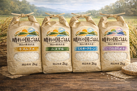 4種食べ比べセット！キヌムスメ・にこまる・ミルキークイーン・にじのきらめき 2026年産「岡山県産お米」２kg×４個セット