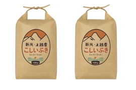新潟県産,こしいぶき,和泉,20kg,令和7年新米,【受注後精米・農家直送】