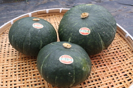 かぼちゃ『ダークホース』４～５玉（約６～6.5㎏）