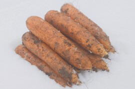 雪が積もる高原の寒さで甘くなった❄️有機JASニンジン🥕２．５ｋｇ
