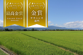 令和８年産予約商品【ササニシキ 精米5kg】山形置賜飯豊　希少育成困難品種