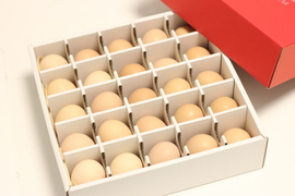 【大寒卵】★★★平飼いで育てた有精卵25個入り★★★
小振りながらも濃厚な土佐ジロー卵 　贈答やギフトにもおすすめ　仁淀ブルーの町いの町からお届け