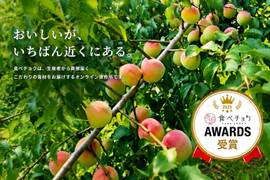 【特別栽培】和歌山県産　南高梅　3Lサイズ(梅酒、梅シロップ用)５kg