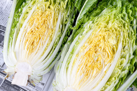 【自然栽培白菜×激辛唐辛子】おうちで手作りキムチセット 産地直送 栽培期間中農薬不使用 掘りたての白菜をお届け 化学肥料不使用 白菜2玉(約2kg) 乾燥唐辛子 100g