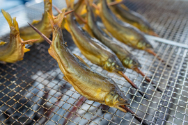 【母の日ギフト】厳選　 紀州仕立て鮎 色々セット　”お母さん、いつもあゆがとう！”