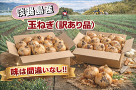 【コスパ優先】不揃いだけど味は一級品！淡路島が誇る濃厚な旨味をご家庭で　５kg（サイズ混合）