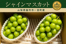 🍇【山梨県笛吹市産】プレミアムシャインマスカット 約2kg🍇 ～芳醇な甘みと爽やかな香り、贅沢なひとときを～