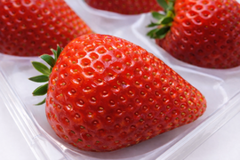 2箱セット！やさしく苺を包むゆりカーゴに入れてお届け！シャキっと歯応え！ジュワ～と果汁！厳選大粒♪完熟とちあいか！今話題の甘さが際立つ品種です！
約270g×4パック