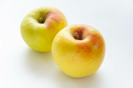 すぐに発送🚚特別栽培認証取得のぐんま名月5kg 甘くて香り良し✨農薬5割減＋化学肥料不使用 もちろんネオニコフリー 皮ごとおいしい♪ 訳ありご家庭用🏠人気品種 今が旬 おすすめ