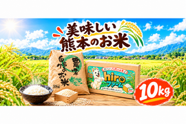 新米 白米 10kg 森のくまさん 無洗米 【令和8年産】　熊本県産　hiroファーム　食べチョクアワード受賞